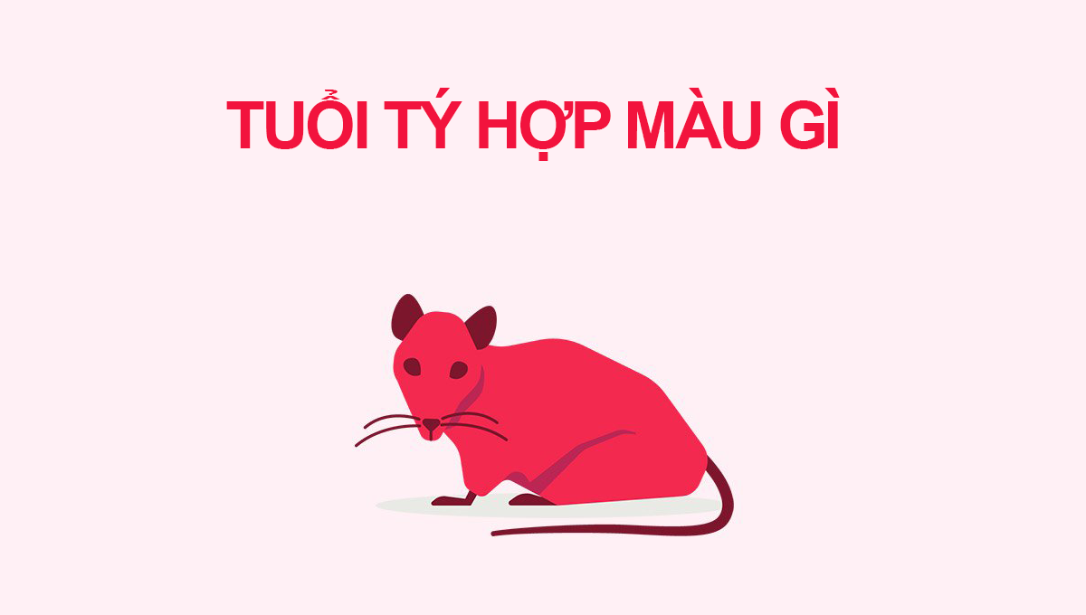 tuổi tý hợp màu gì